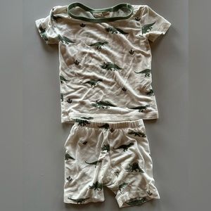 COPY - Kyte baby dino 18-24 months